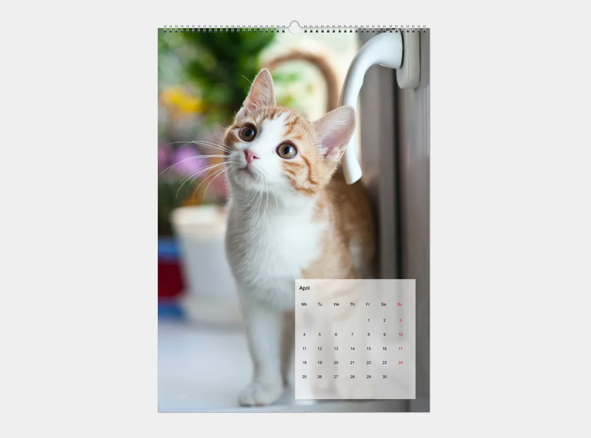 A2 Wandkalender im Hochformat mit eigenen Fotos online gestalten